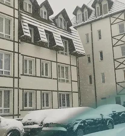 33 Kraljevi Cardaci *