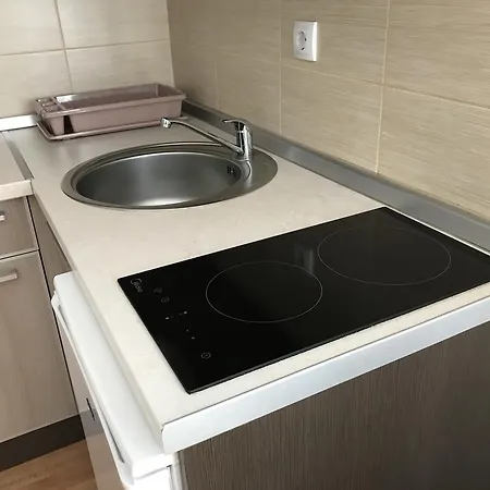 33 Kraljevi Cardaci アパート コパオニク