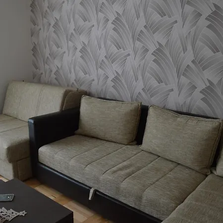 33 Kraljevi Cardaci コパオニク