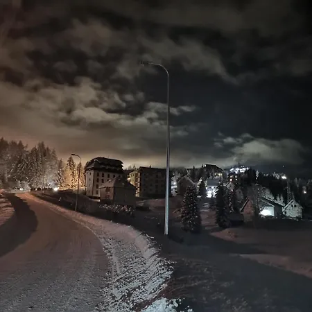 33 Kraljevi Cardaci *