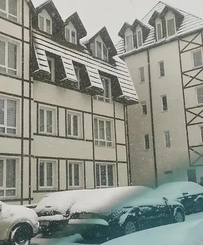 33 Kraljevi Cardaci *