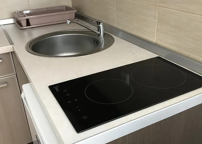 33 Kraljevi Cardaci 公寓 科帕奥尼克