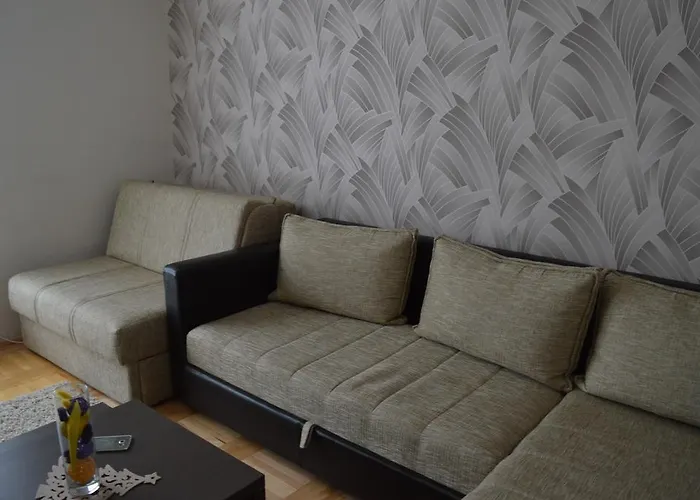 33 Kraljevi Cardaci 科帕奥尼克