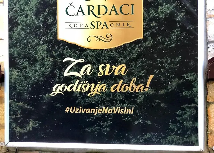 33 Kraljevi Cardaci 科帕奥尼克