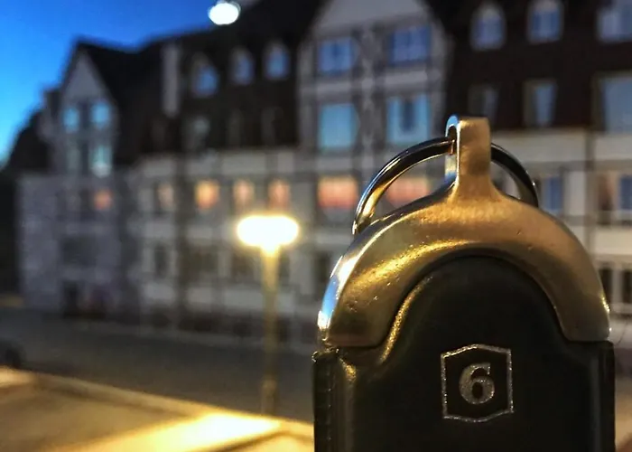 33 Kraljevi Cardaci * 科帕奥尼克