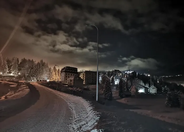 33 Kraljevi Cardaci *