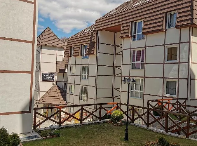 33 Kraljevi Cardaci * 科帕奥尼克